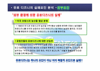 [국제마케팅] 디즈니랜드의 국제마케팅 -프랑스 파리 유로디즈니 실패사례를 중심으로-11