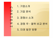 [전략경영] 삼성에버랜드 경영전략-2