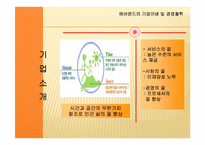 [전략경영] 삼성에버랜드 경영전략-4