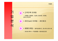 [전략경영] 삼성에버랜드 경영전략-9
