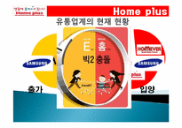 삼성테스코 홈플러스 조직구조1-17