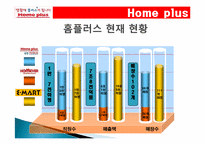 삼성테스코 홈플러스 조직구조1-19