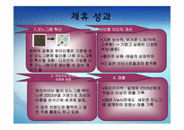 [국제경영] 전략적 제휴(Strategic Alliance)-12
