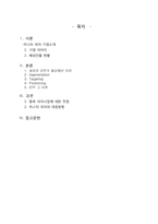 [마케팅원론] 미스터 피자의 STP-2