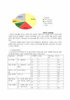 [마케팅원론] 미스터 피자의 STP-5
