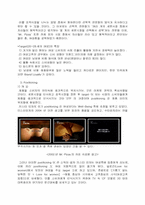 [마케팅원론] 미스터 피자의 STP-7