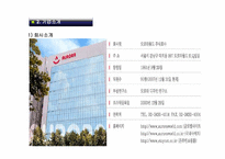 [국제마케팅] 오로라 월드 글로벌 경영전략-4