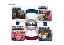 [국제마케팅] 오로라 월드 글로벌 경영전략-7