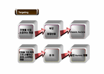 [국제마케팅] 오로라 월드 글로벌 경영전략-10