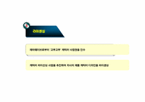 [국제마케팅] 오로라 월드 글로벌 경영전략-16