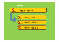 [인터넷마케팅] NHN 해피빈 마케팅전략-3