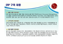 LG전자 ERP 도입 성공사례-9