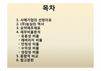 농심 경영분석 레포트-2