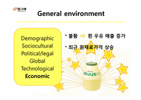 [전략경영] 빙그레 중장기 전략-12
