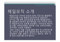 삼성제일모직 재무비율분석과 평가-2