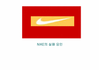 나이키 NIKE 기업특성-13