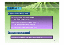 회계감사과정과 감리지적사례-6