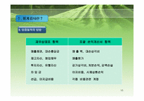 회계감사과정과 감리지적사례-10