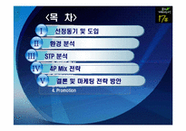 17차 마케팅 전략 분석-2