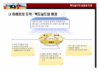 맥도날드의 성공과 도전-18