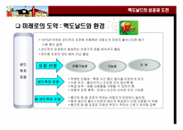 맥도날드의 성공과 도전-20