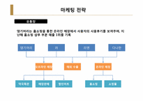 [마케팅] 한방화장품 `댕기머리`포지셔닝-12