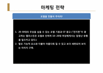 [마케팅] 한방화장품 `댕기머리`포지셔닝-17
