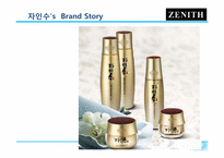 LG생활건강 ZENITH 화장품 중국진출전략-6