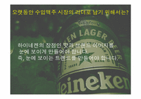 하이네켄 마케팅 계획-17