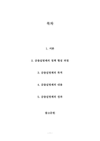 김영삼 정부의 금융실명제-1