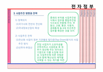 [경영정보론] 전자정부-4
