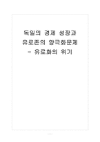 [독일경제] 독일 경제 성장과 유로존의 양극화 문제 - 유로화의 위기 보고서-1