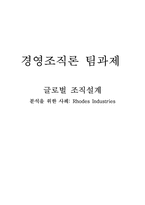 [경영조직론] 글로벌 조직설계(분석 사례-Rhodes Industries)-1