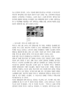 [마케팅] 동아제약의 박카스 광고 마케팅 전략-9