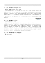 [이비즈니스] 싸이월드 마케팅 성공사례 조사-2