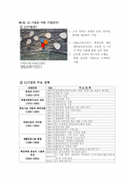 [경영학] CJ 기업을 중심으로 살펴본 기업의 사회적책임(CRS)-사회공헌부분을 중심으로-3
