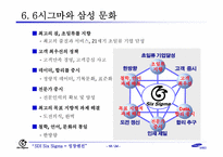 [지식경영] 삼성SDI의 경영혁신-6시그마 중심-19