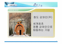 [국제무역] 청도 감와인(주)의 감와인 일본시장 진출 전략 제안서-6