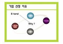 [인적자원관리] 이랜드의 기업문화와 인사관리 조사 보고서-4