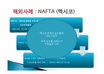 [경제]한미 FTA 쇠고기 개방 부정적인 측면-5