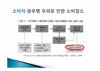 [경제]한미 FTA 쇠고기 개방 부정적인 측면-8