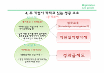 [조직과 문화] 성공적인 조직의 공통요인 조사(박이정 출판사와 지구문화사 비교)-11