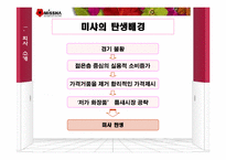 [마케팅] 저가화장품 시장에서의 미샤 마케팅 전략-5