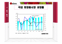 [마케팅] 저가화장품 시장에서의 미샤 마케팅 전략-9