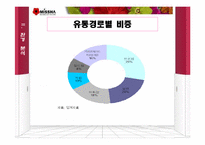 [마케팅] 저가화장품 시장에서의 미샤 마케팅 전략-10