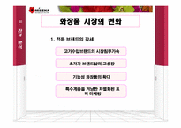 [마케팅] 저가화장품 시장에서의 미샤 마케팅 전략-13