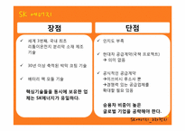 [마케팅] SK에너지 2차 전지 사업에서의 B2C마케팅 전략-12