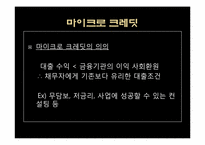 [경제학] 미소금융제도의 문제점과 해결방안-5