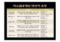 [경제학] 미소금융제도의 문제점과 해결방안-8