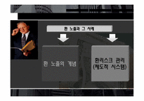 [위기관리] 환 리스크(위험)노출과 그 사례(미래와 사람, 현대자동차 사례 조사)-3